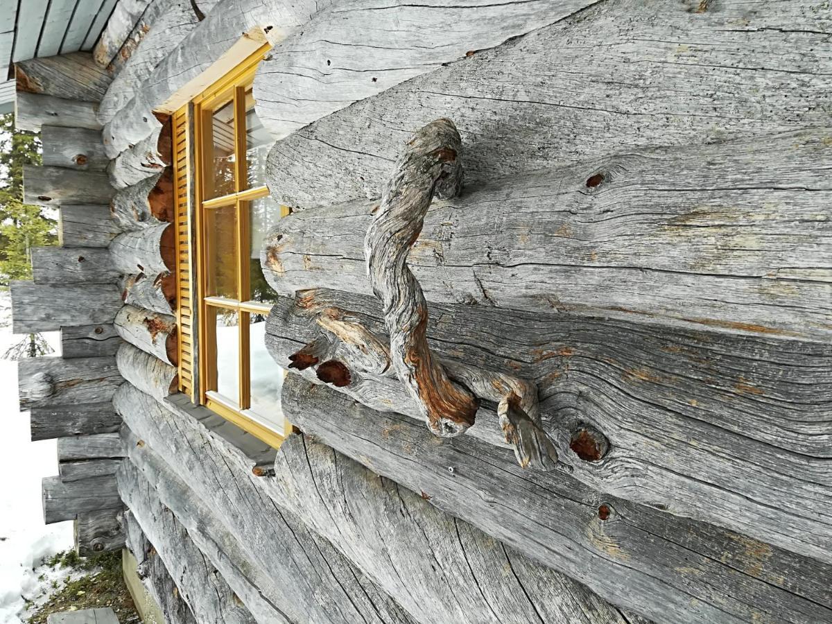 Logwood Chalet Luosto Buitenkant foto