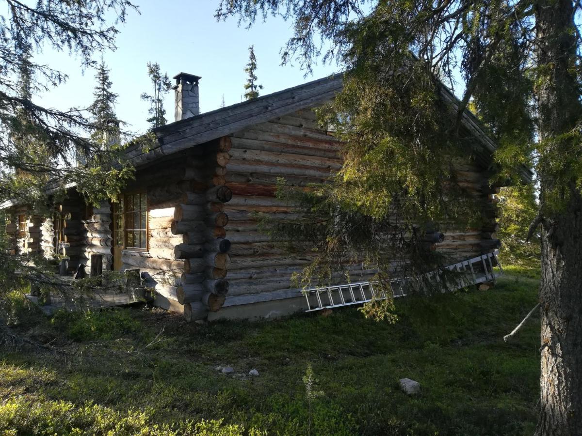 Logwood Chalet Luosto Buitenkant foto